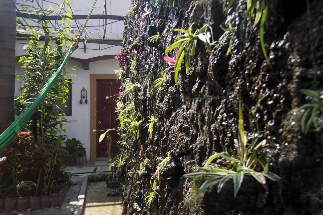Las Mariposas Hotel & Studios Oaxaca Kültér fotó