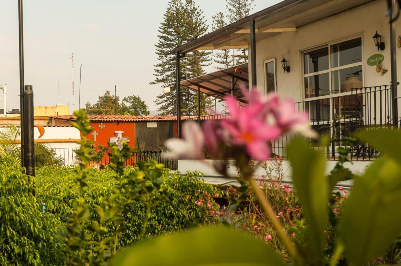 Las Mariposas Hotel & Studios Oaxaca Kültér fotó